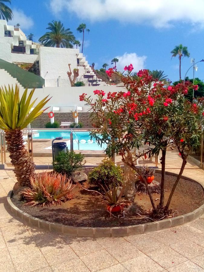 Most Sunny Days On Gran Canaria Puerto Rico  Eksteriør billede