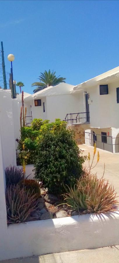 Most Sunny Days On Gran Canaria Puerto Rico  Eksteriør billede