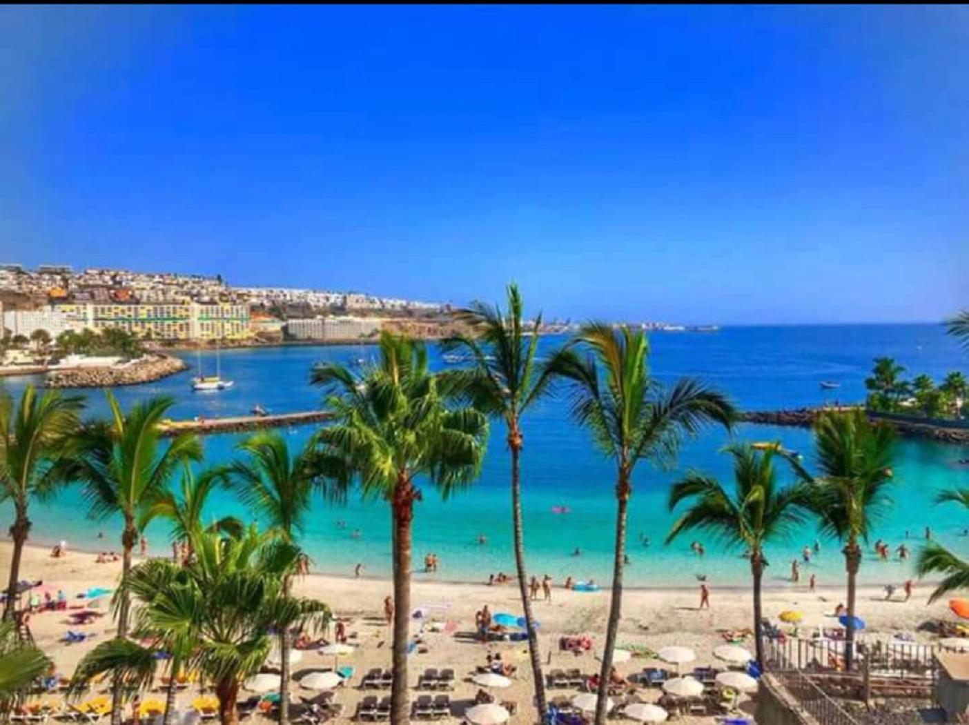 Most Sunny Days On Gran Canaria Puerto Rico  Eksteriør billede
